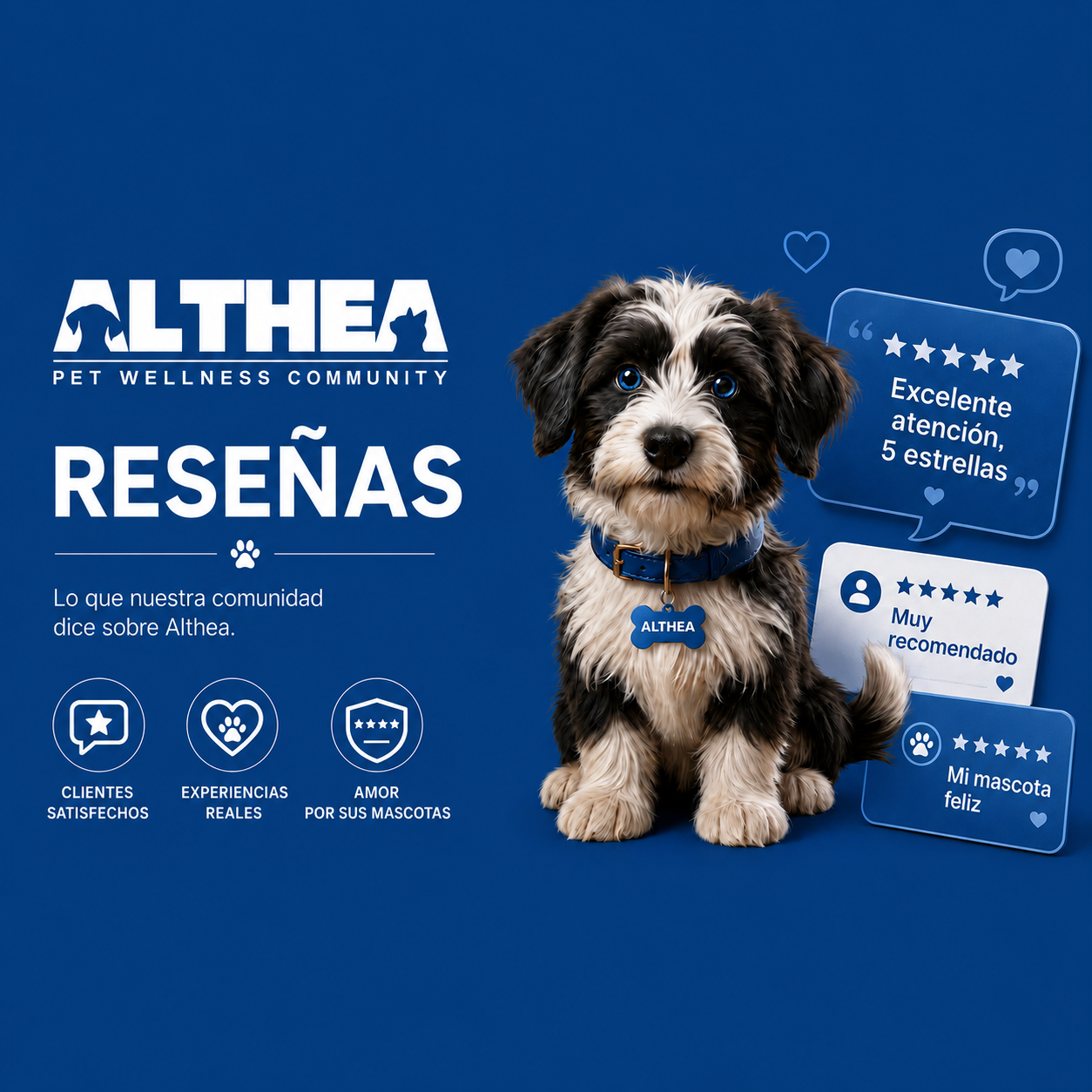 Reseñas Althea — lo que nuestra comunidad dice